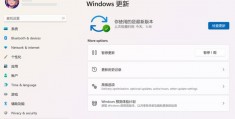 word表格中线不见了-word表格右侧看不到边线