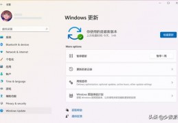 word表格中线不见了-word表格右侧看不到边线