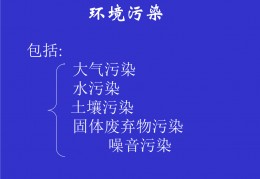 大气污染防治法ppt(大气污染防治法118条餐饮油烟)