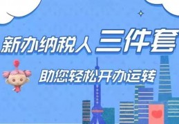 自己新来的公司怎么开发票(个人给公司开劳务费)