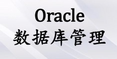 数据库管理系统与c语言,数据库系统的核心是