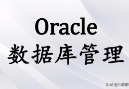 数据库管理系统与c语言,数据库系统的核心是