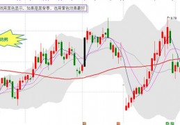 涨停设置黄色源码-通达信分时图公式源码