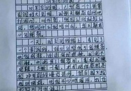 万能作文600字写作模板小学-万能作文600字