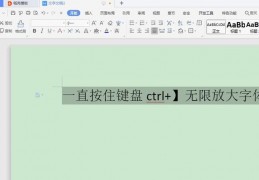 word字号放大_字号怎么设置