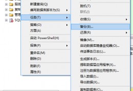 已备份数据导入另一个数据库-sql怎么用代码导入备份数据