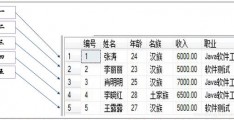 数据库和表的概念,表在数据库中的作用