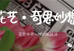 打包花设计-包装设计素材网站