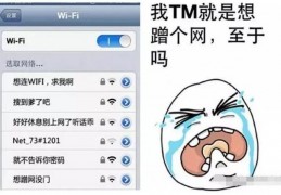 wifi破解源码-wifi破解源代码