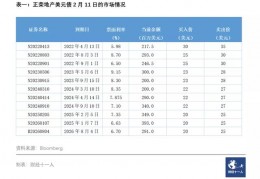 长沙观龙湖开发商_龙湖翠湖壹号长沙