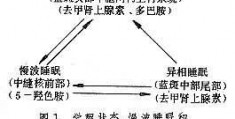 中脑数据库是什么,cbioportal数据库