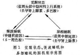 中脑数据库是什么,cbioportal数据库