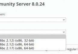 mysql数据库有漏洞_MySql是什么类型的数据库