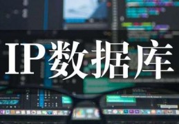 怎么用数据库做ip-数据库遇见工具ip