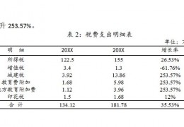 保险公司财务分析ppt(保险公司财务分析应收保费怎么分析)