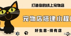 宠物咖啡馆创业PPT模板免费(宠物店创业ppt模板免费)