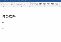 word字体变横版-怎么把字变大横向