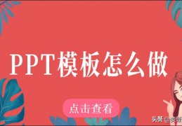 会员怎么设置ppt模板(ppt模板大全免费)