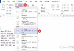 word文档设置分页符号(分节符怎么设置)