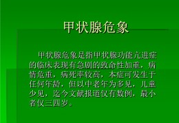 泌外常见临床危象ppt_妊娠合并急性胰腺炎PPT