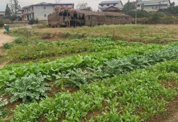 三调村组数据库叫什么名字,三调耕地种植属性代码