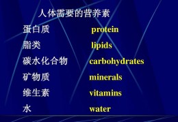 营养学基础维生素无机盐ppt,营养学基础知识ppt