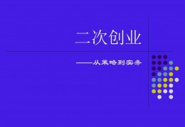 创业总体战略模板(创业计划书项目计划)