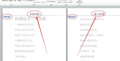 word奇数页眉是什么意思_word2010奇数偶数页眉