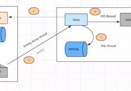 mysql数据库回表(mysql如何避免回表)