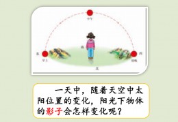 大班科学影子ppt(大班科学影子的变化ppt)