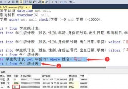 关于用sql语句查询数据库错误的信息