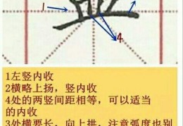 关于五年级下册书法指导皿字旁ppt的信息