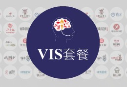 cis案例ppt,可口可乐cis案例分析