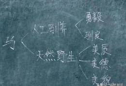 课件上一边讲解一边写字的模板_写字动画制作flash