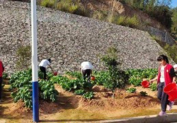 劳动实践照片素材-学生个人社会实践照片