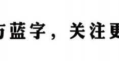 杂志内页排版设计,书籍内页排版设计欣赏