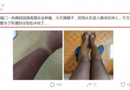 阿里巴巴绿码开发者吐槽_阿里巴巴开发规范