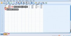 spss如何自己添加数据库(spss如何自动生成序号)
