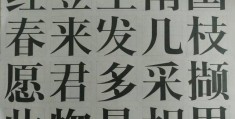 手机word宋体在哪里(word里的图片怎么转为文字)