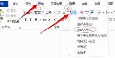 如何把word里的英文_如何把word里的英文全部改字体