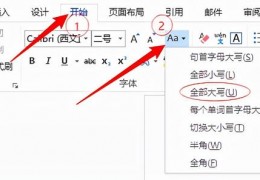 如何把word里的英文_如何把word里的英文全部改字体